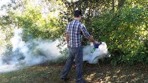 Mosquito Fogging